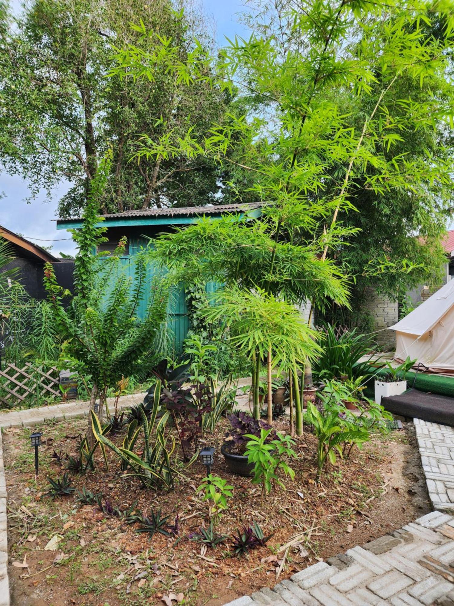 Blissfull Sweet Inn Pantai Cenang  Buitenkant foto