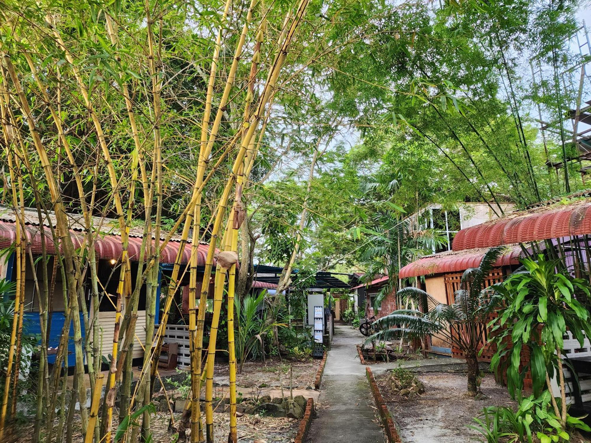 Blissfull Sweet Inn Pantai Cenang  Buitenkant foto